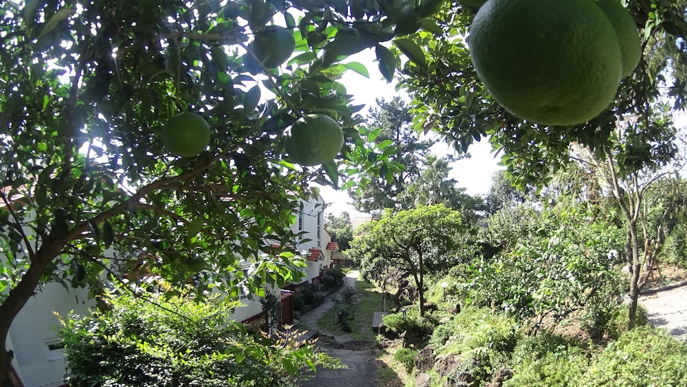 Memory In Jeju Pension