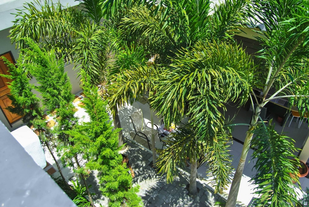 Sarin Guesthouse