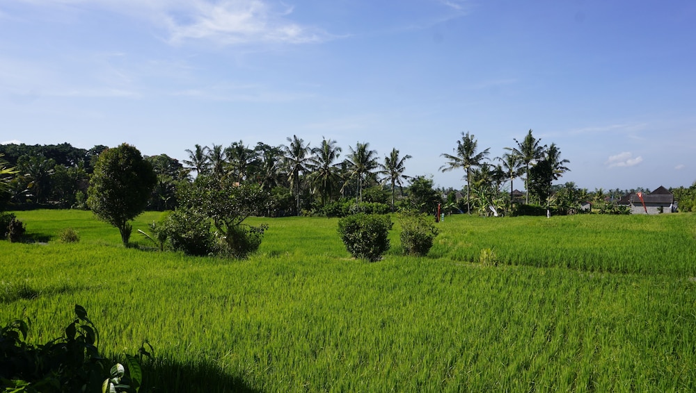 Sari Bamboo Bungalows
