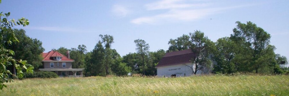 Photo 29