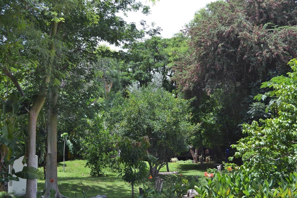 Tambuti Lodge, photo 24