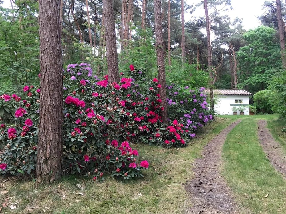 Gierle Garden Bungalow Escape