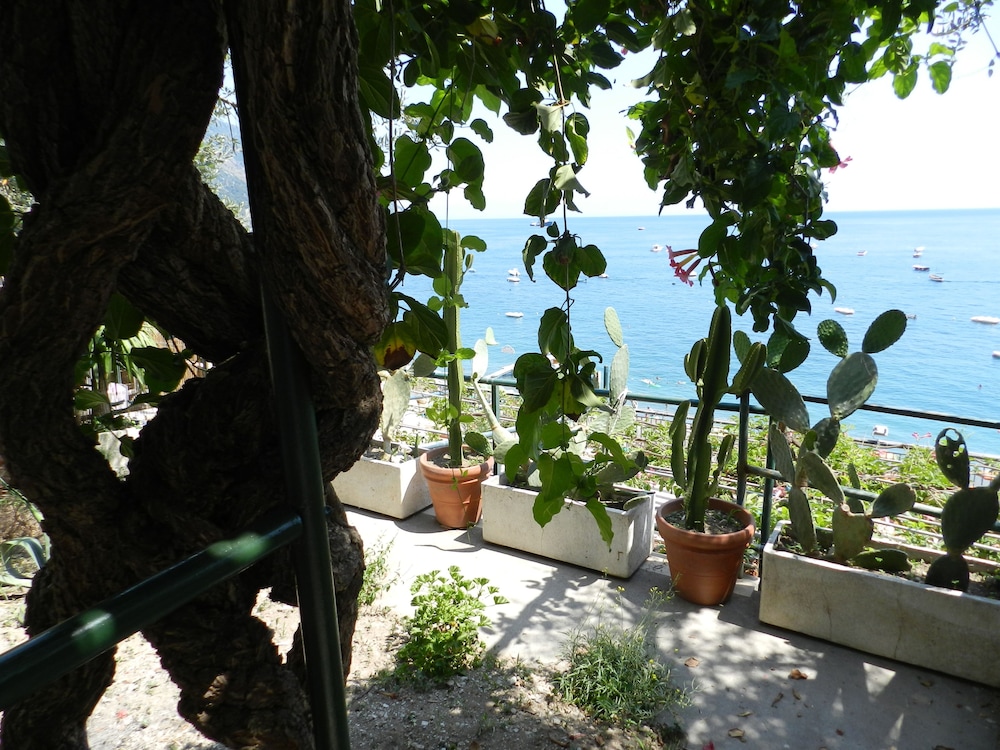 Photo 25