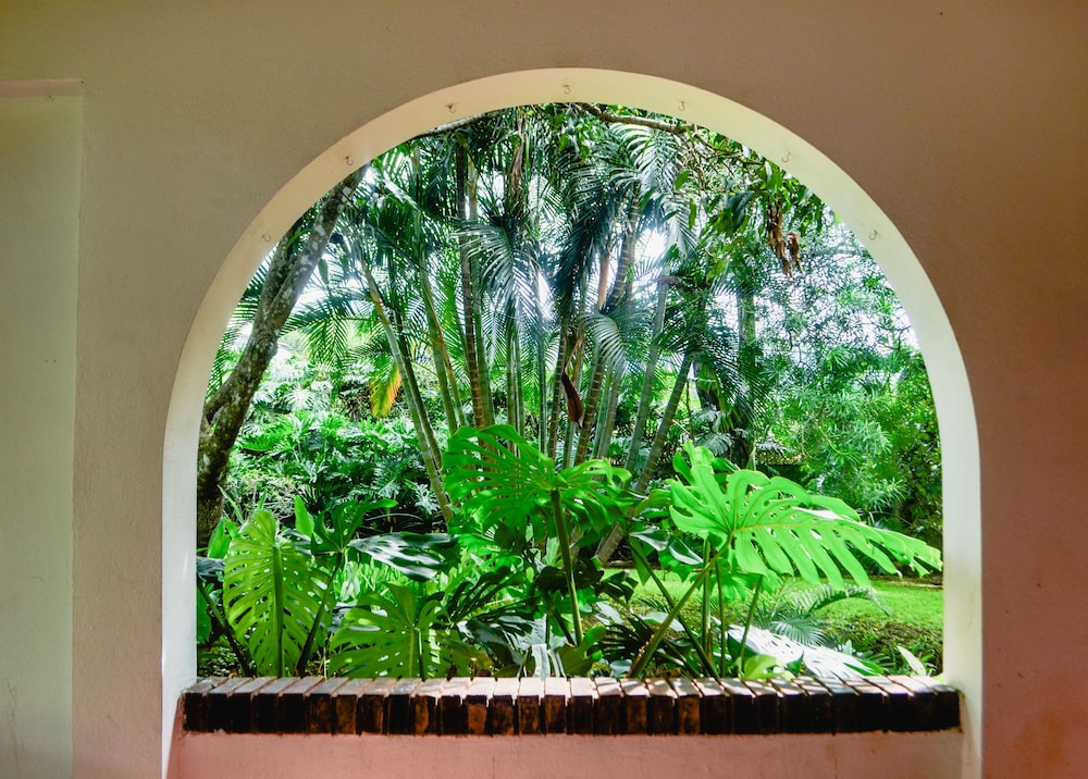 Robles Hostel - Property Image 6