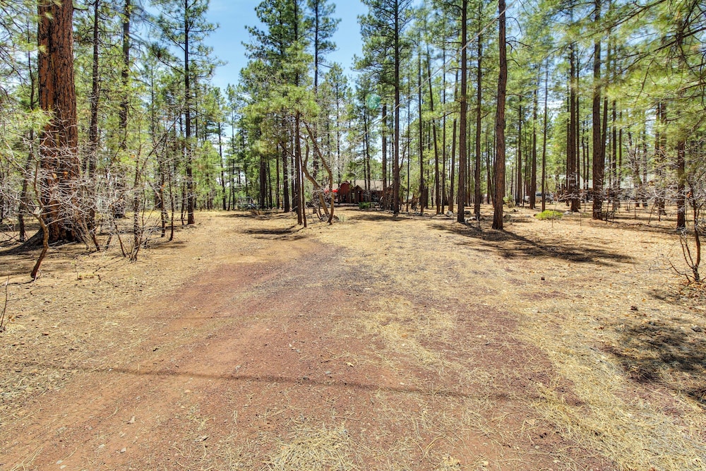 Family-friendly Hideaway Cabin in Lakeside!