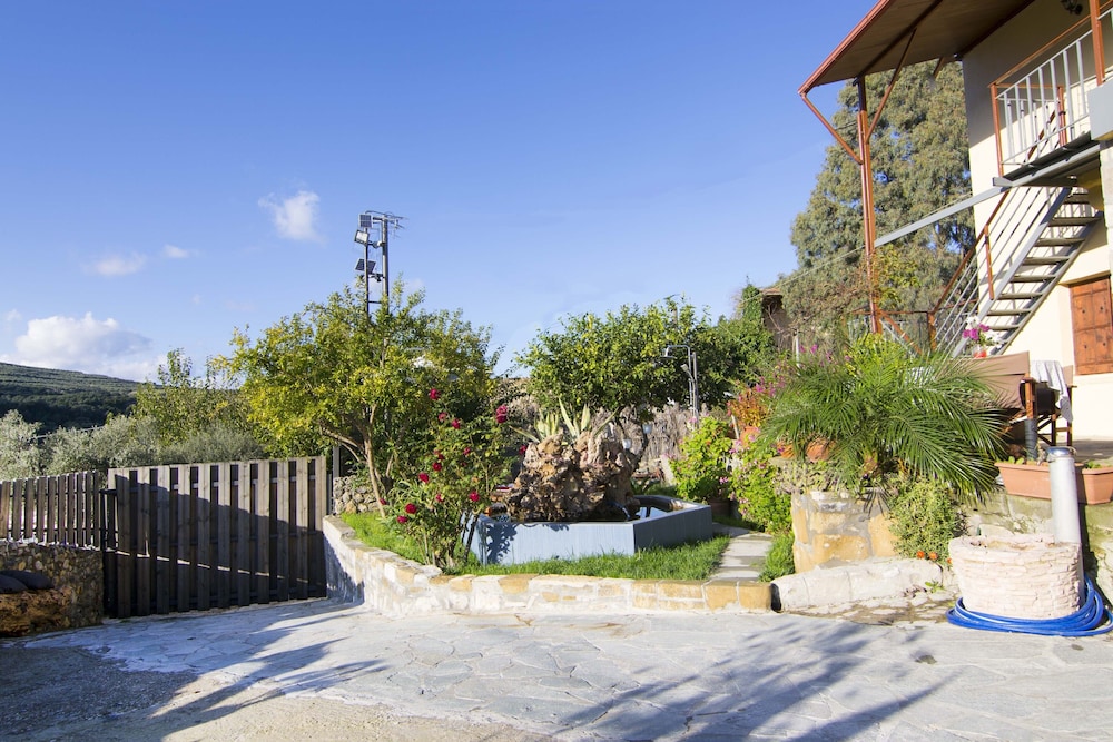 Villa Olive Tree