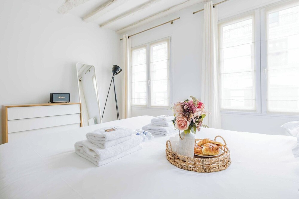 Magnificent Flat - Center of Paris - Honore/rivoli