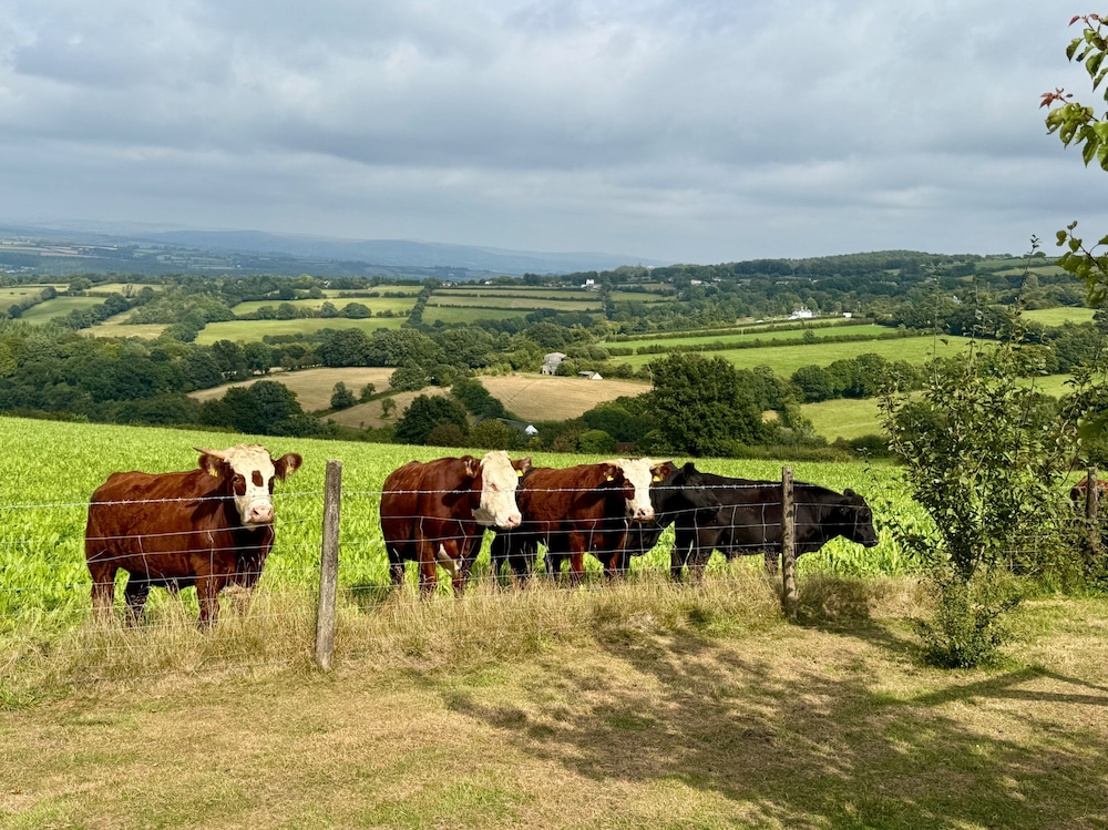 1 Bed Cabin-sleeps 2, Hot Tub, Garden, Pets, Views