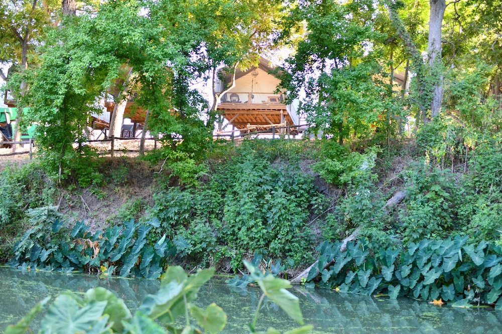 Marion Vacations - 1 Son's Rio Cibolo - Birdhouse Cabin - Property Image 38