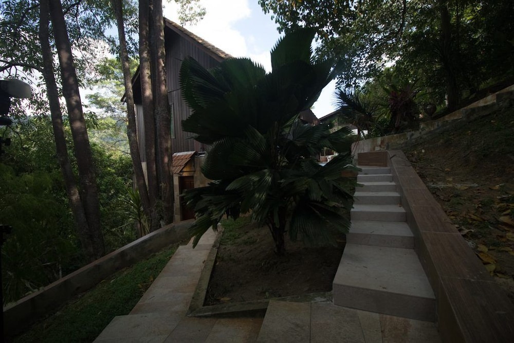 De Serenity - Exclusive Jungle Retreat