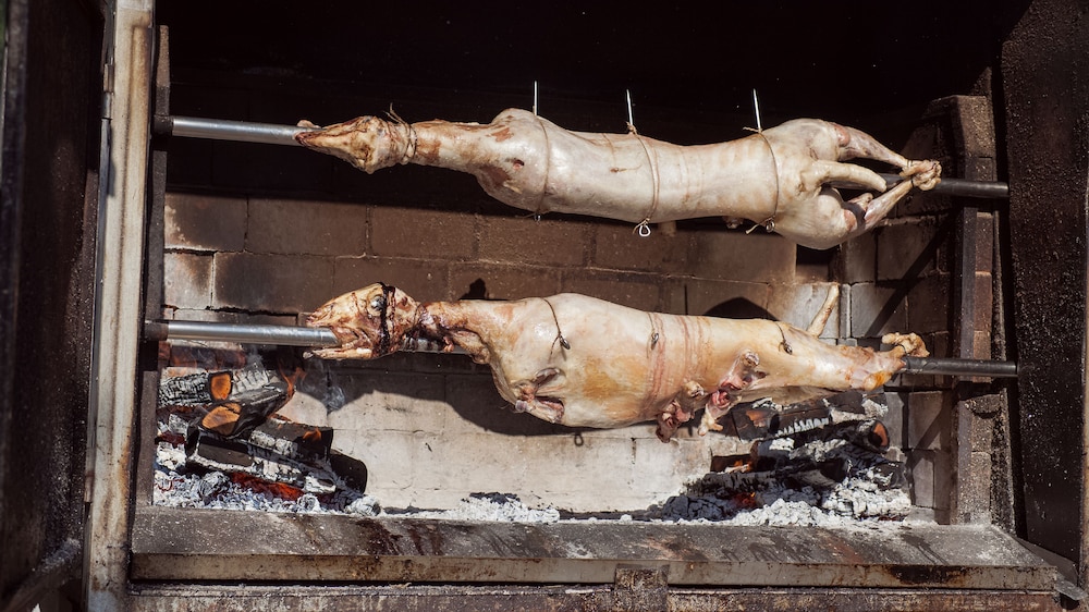 House Rustico