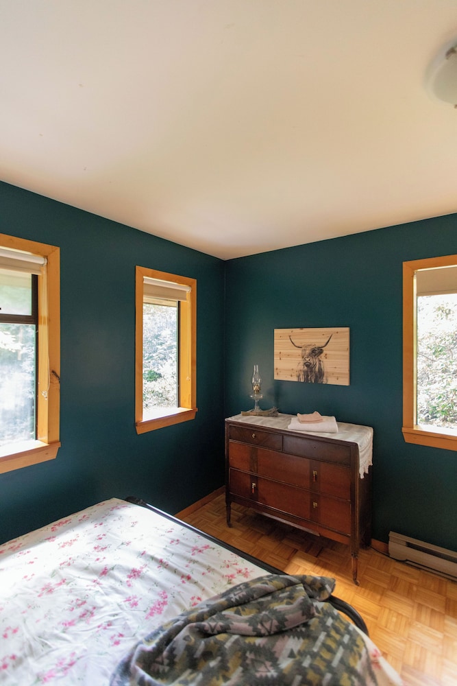 The Forest Cabin