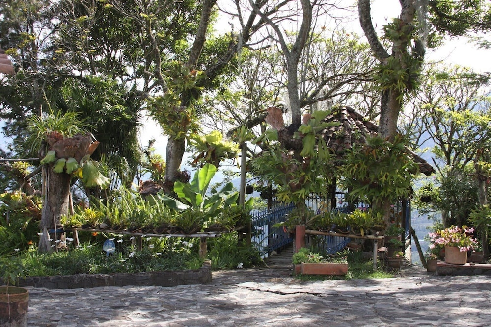 Alma Nativa