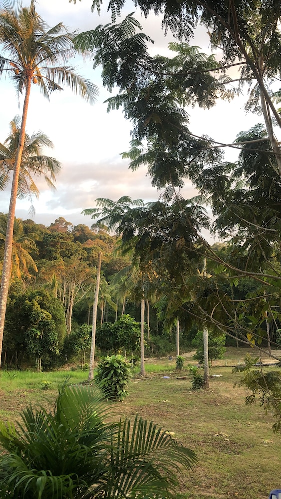 THE SUN HOMESTAY