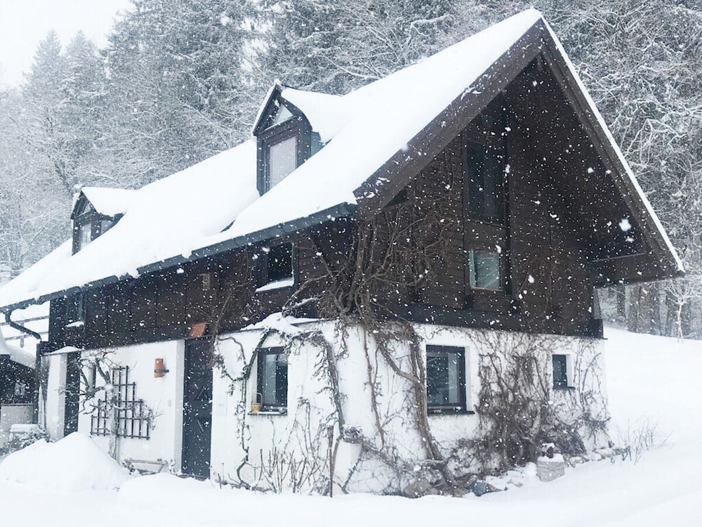 Bergwiesen - Studio House, photo 11