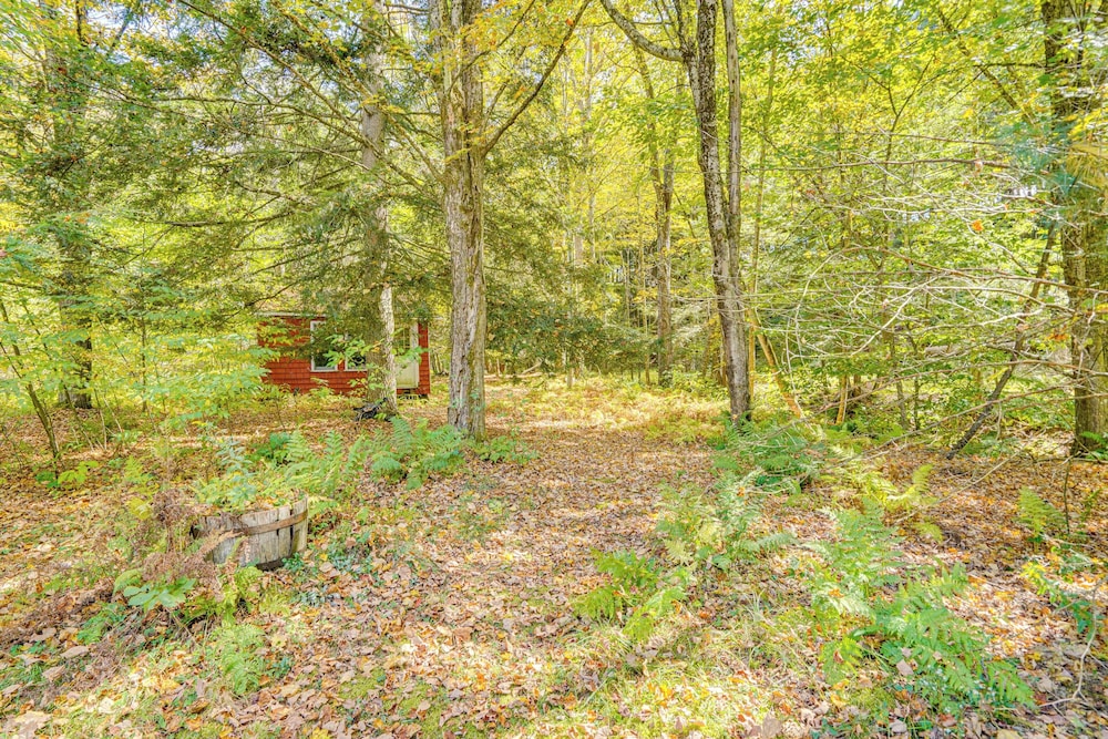Quiet All-season Creekside Escape in Upstate!