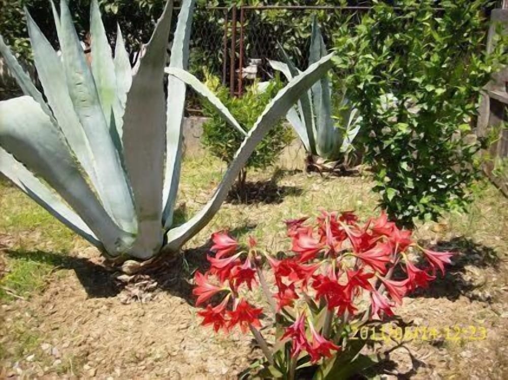 Photo 40