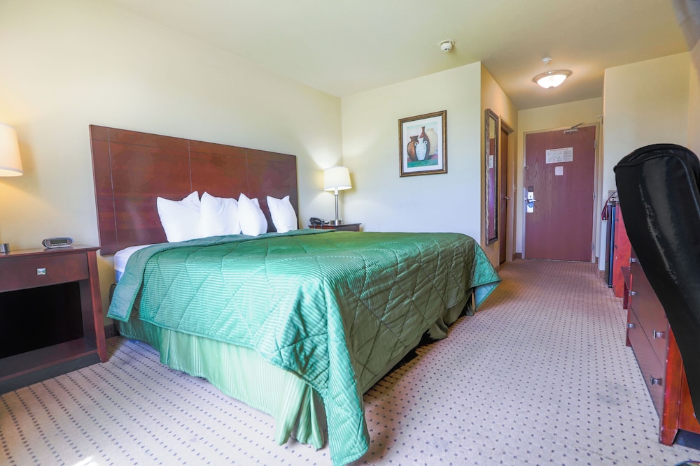 Evansville Inn & Suites By OYO