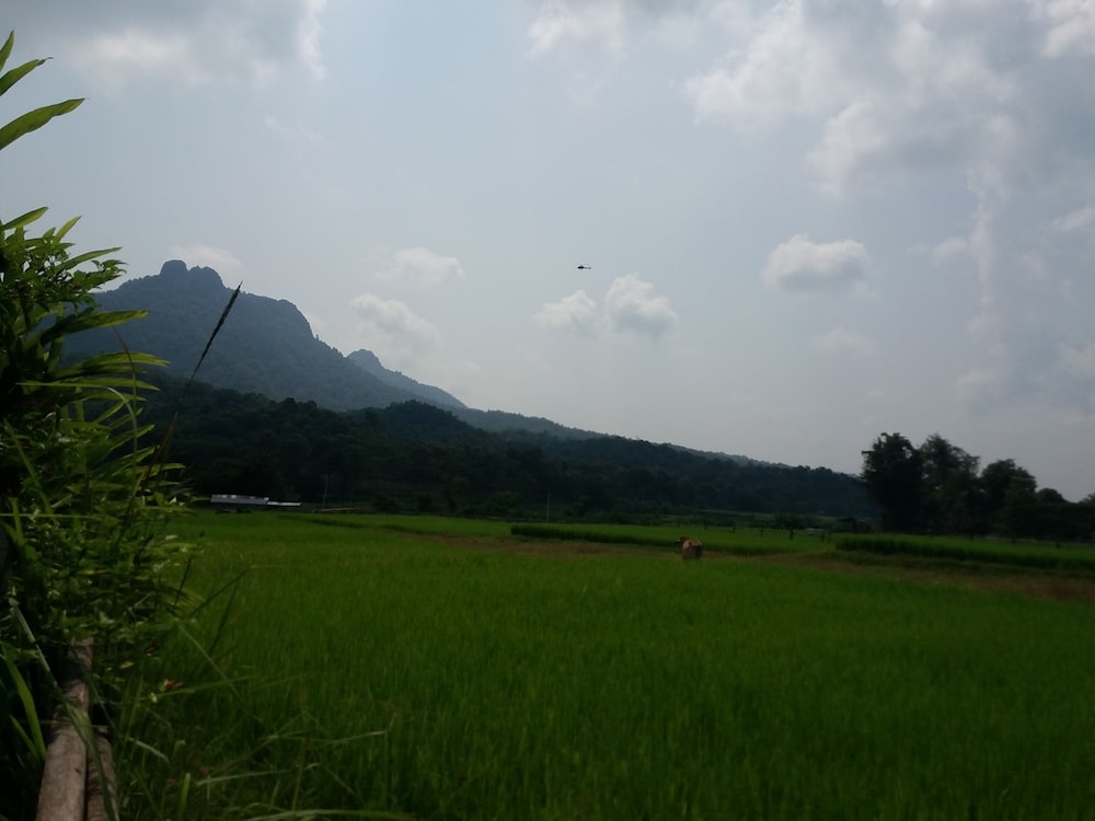 Him doy muang pan