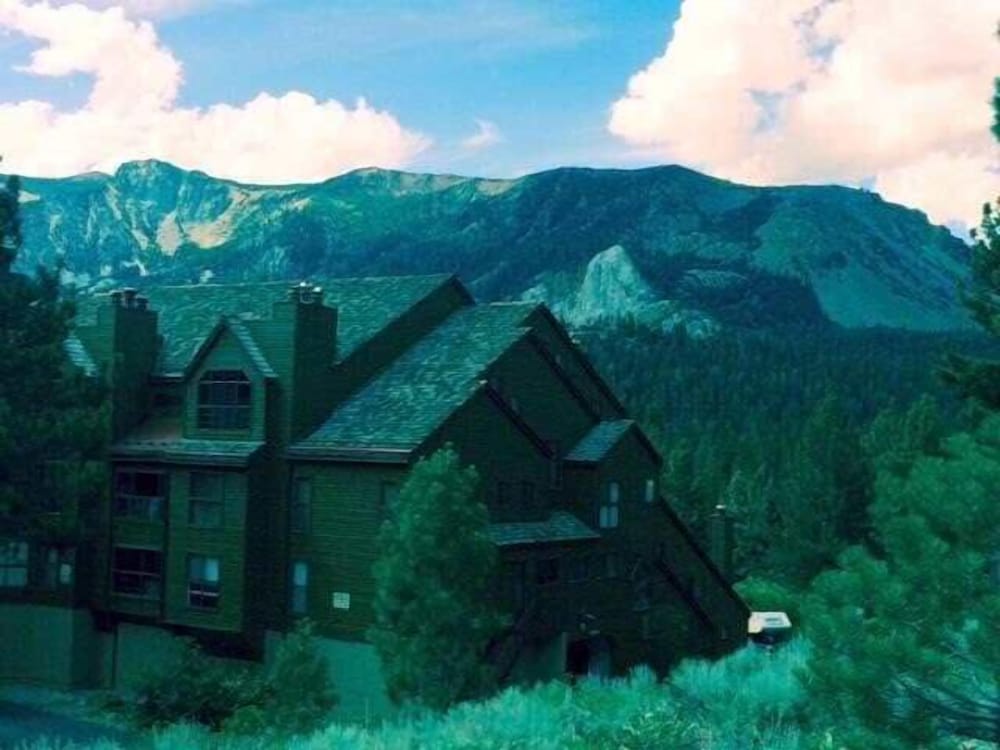 Aspen Creek #123