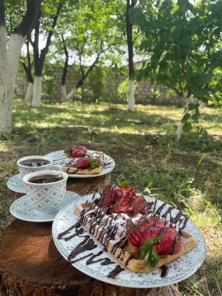 Ruz & Arian Near Zvartnots Airport