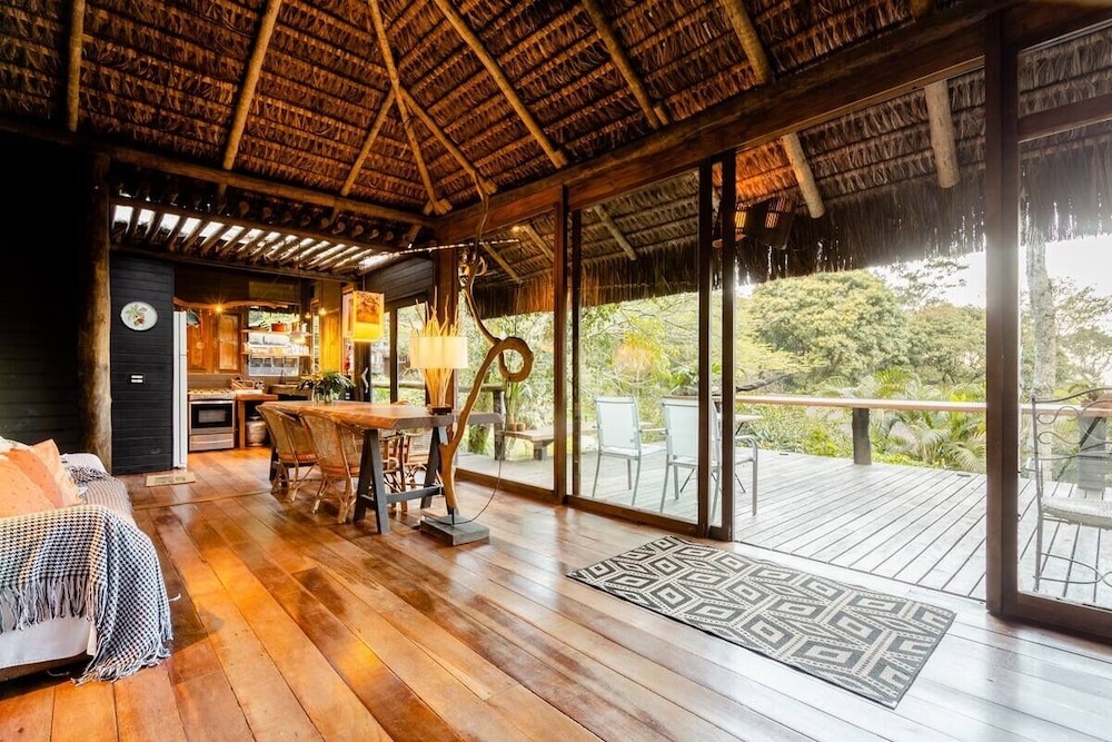 Rainforest Paradise
