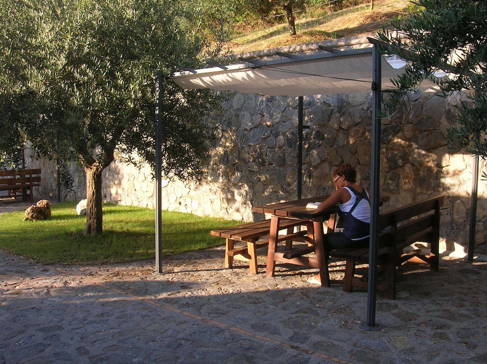 Photo 60