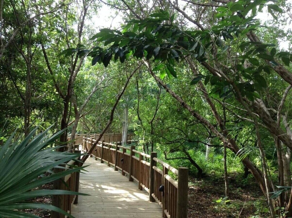 2BD Grand Luxxe Vidanta Resort RM