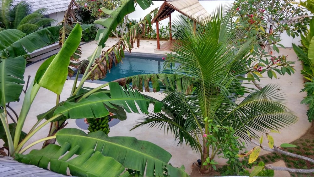 Villa Kalachuchi B&B - Image 5