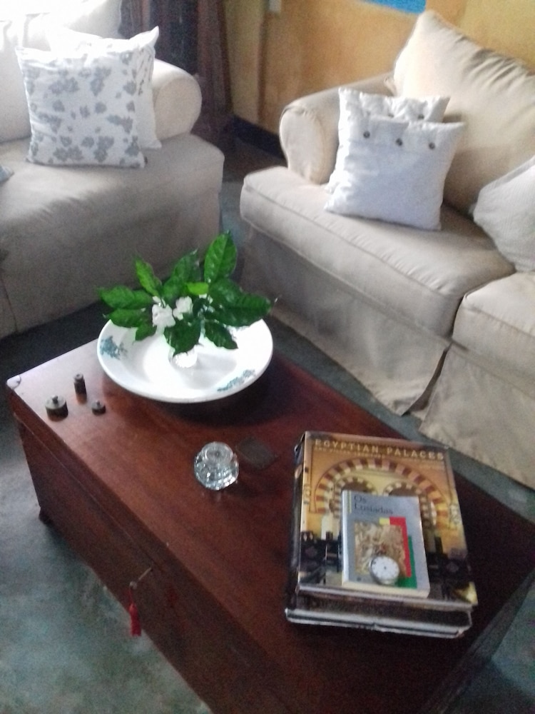 Jardim dos Aloés - Unique B&B, photo 41