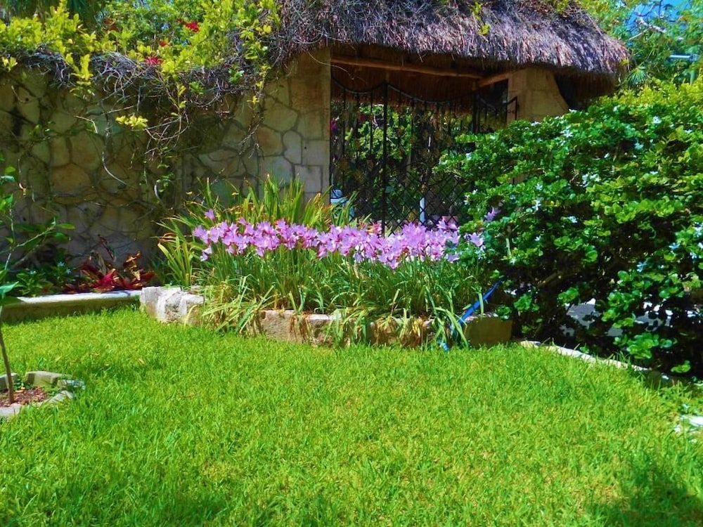 Casa Gatos