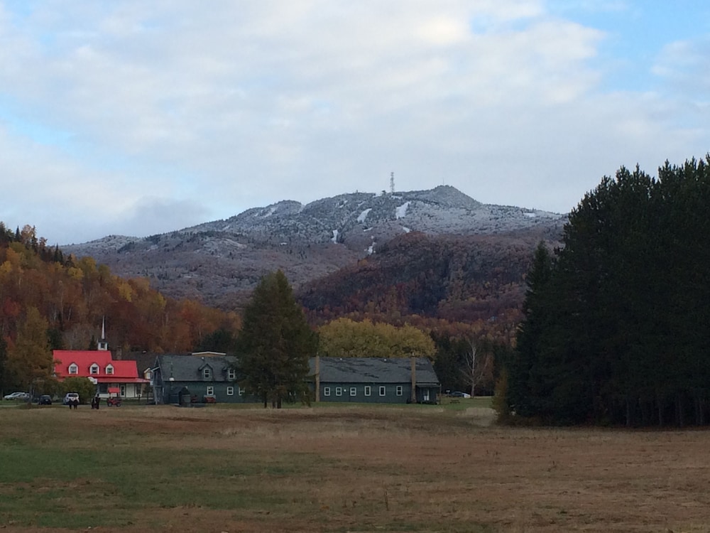 BB Saffron Tremblant