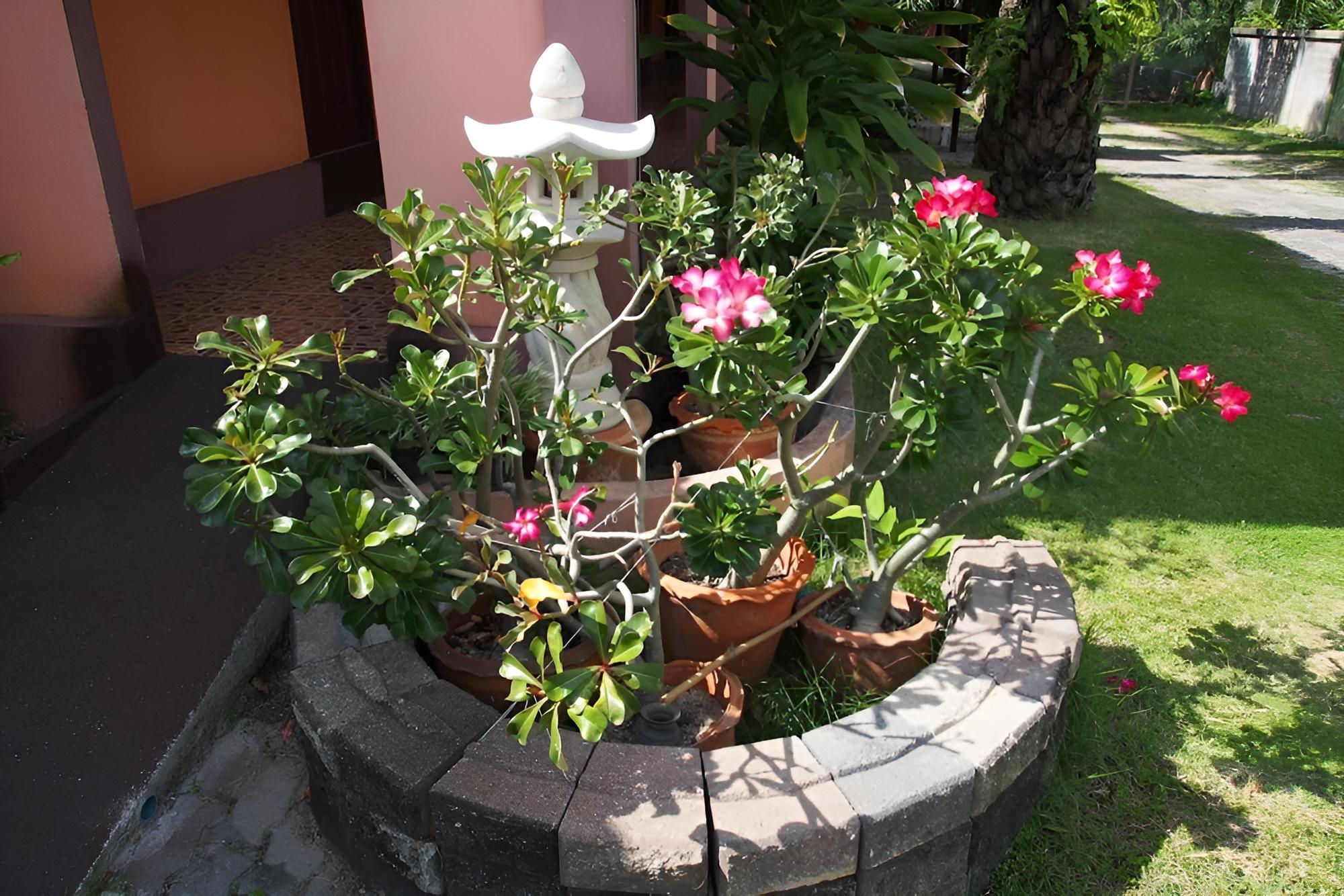 CoCo House Samui