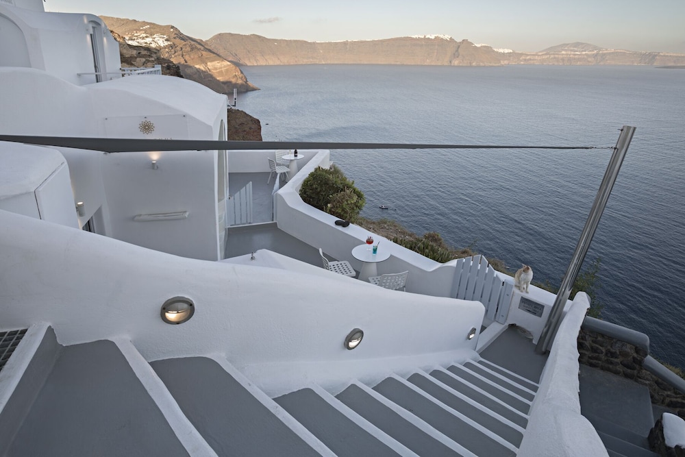 Helianthus Suites