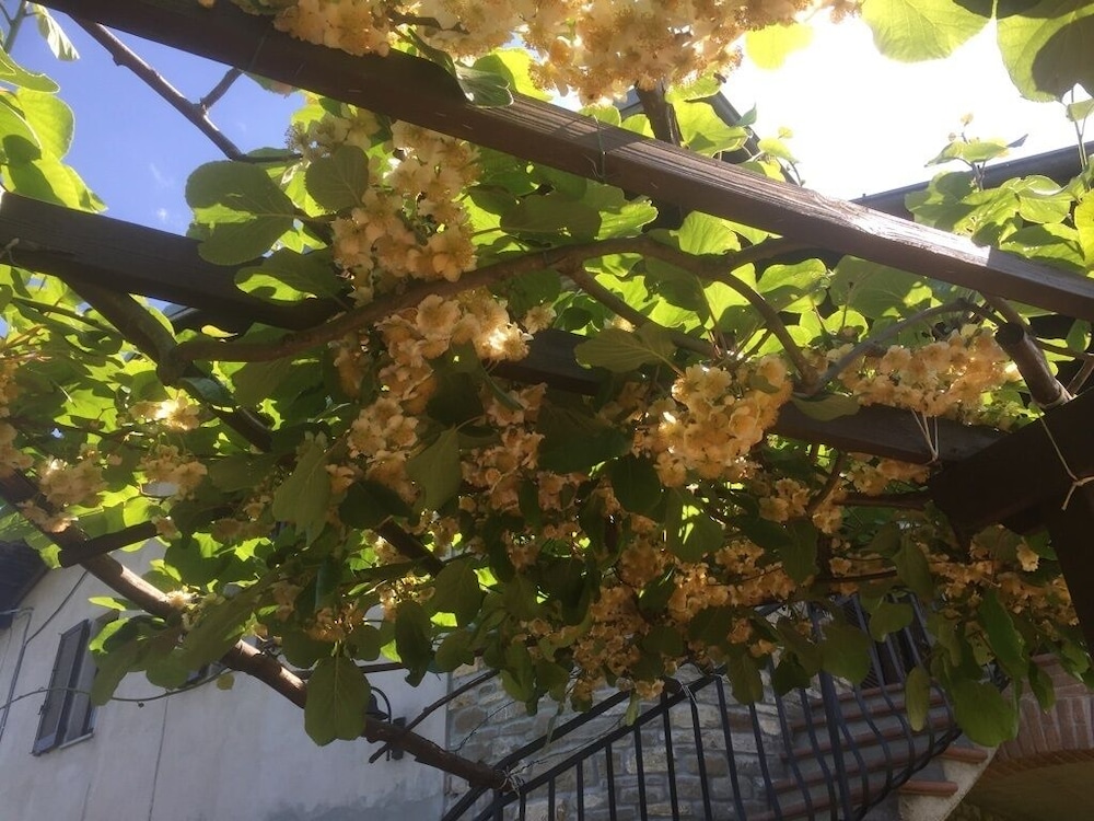 Photo 33
