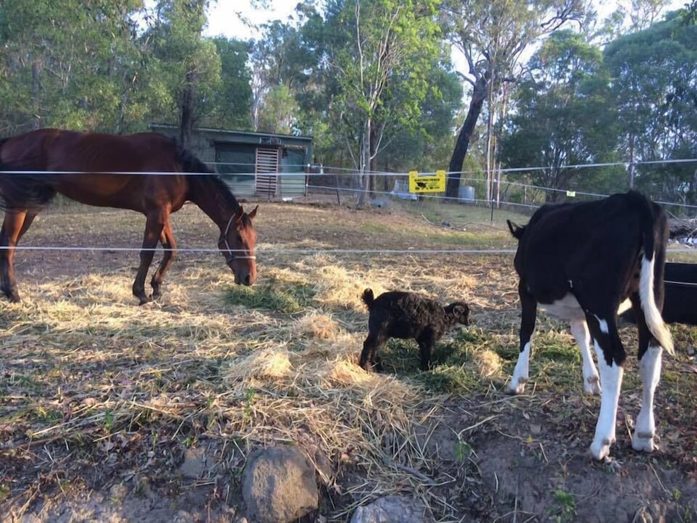 Pearl of Contentment Retreat - Property Image 15