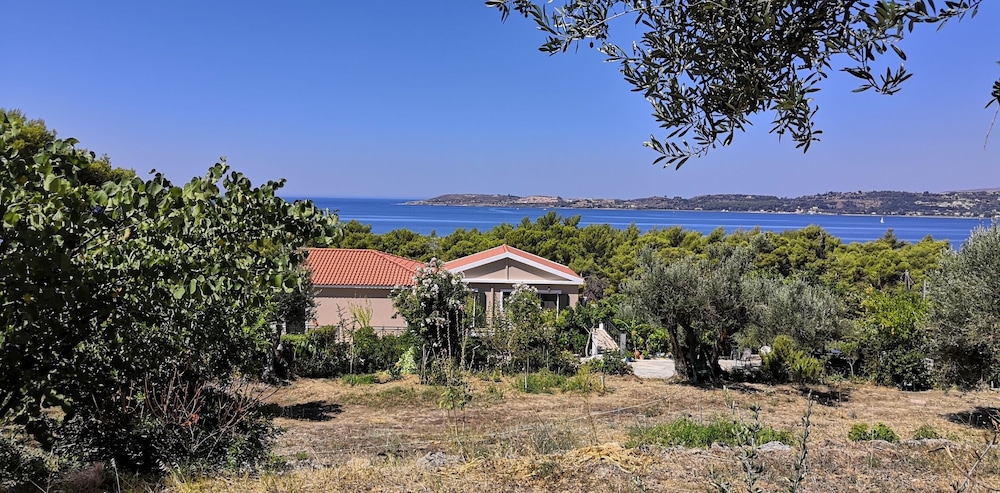 Seapine Studios