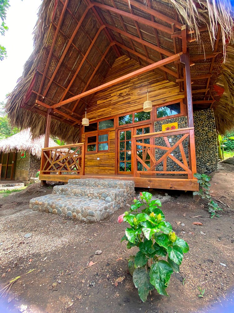 Magic Greeen Tayrona