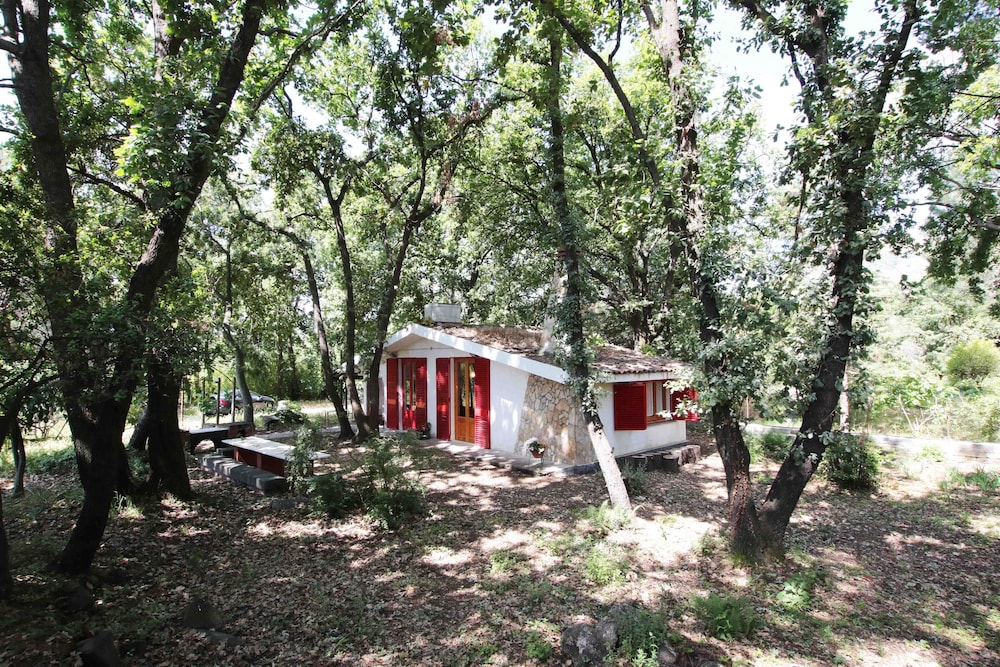 Chalet dans les bois niché dans la forêt de chênes à Monterosso Etneo, Photo 3