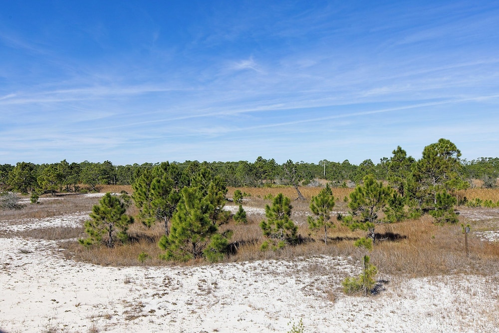Living The Dream by Southern Vacation Rentals