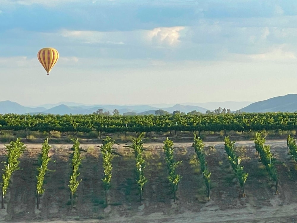 Domaine Chardonnay