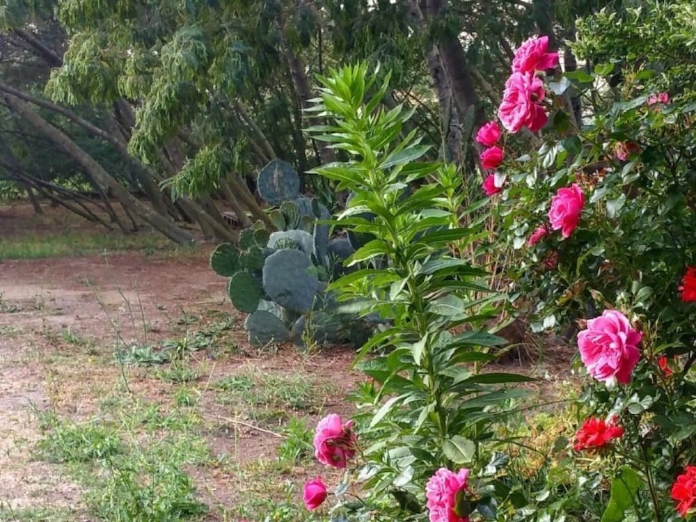 Casa Orsoni