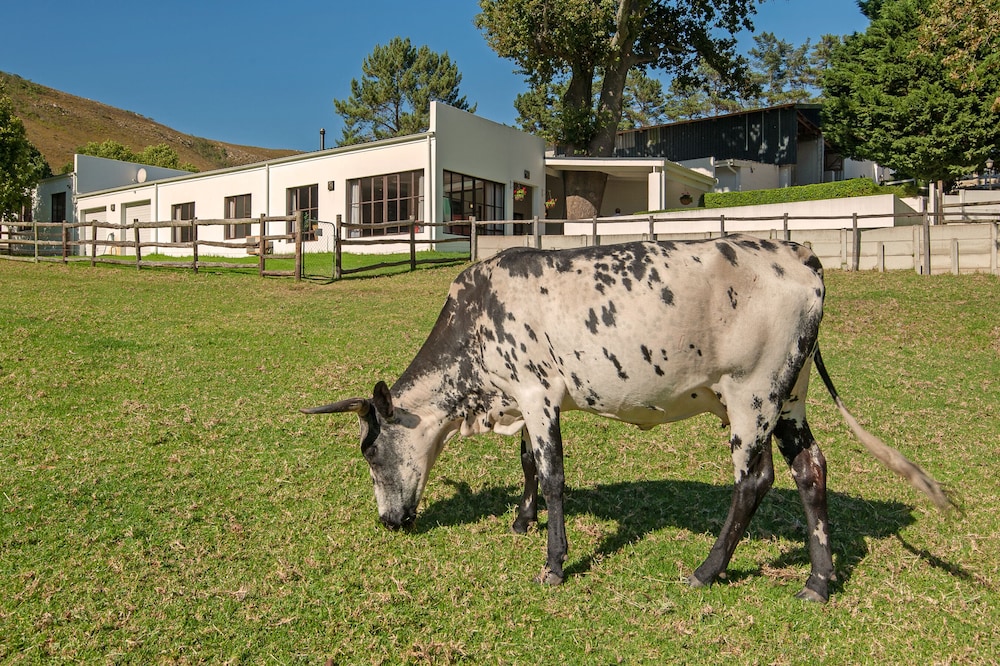 High Season Farm