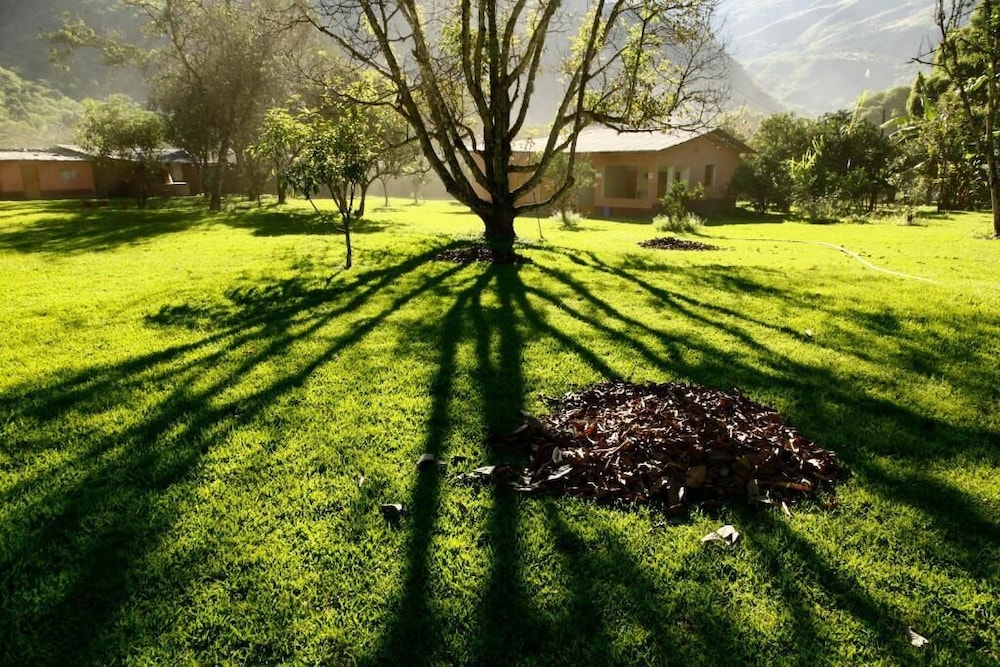 El Mangal