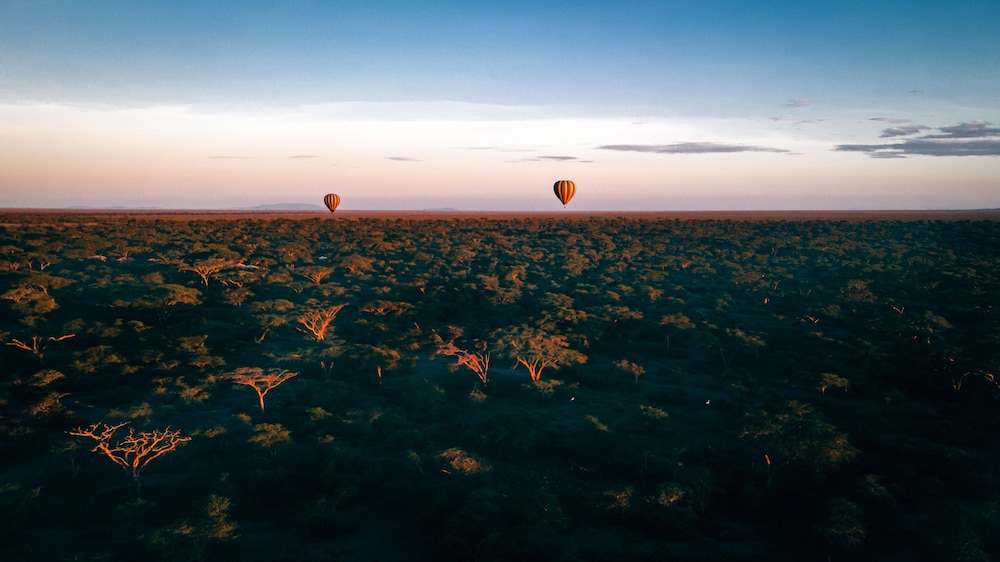 Gnu Ndutu Camp