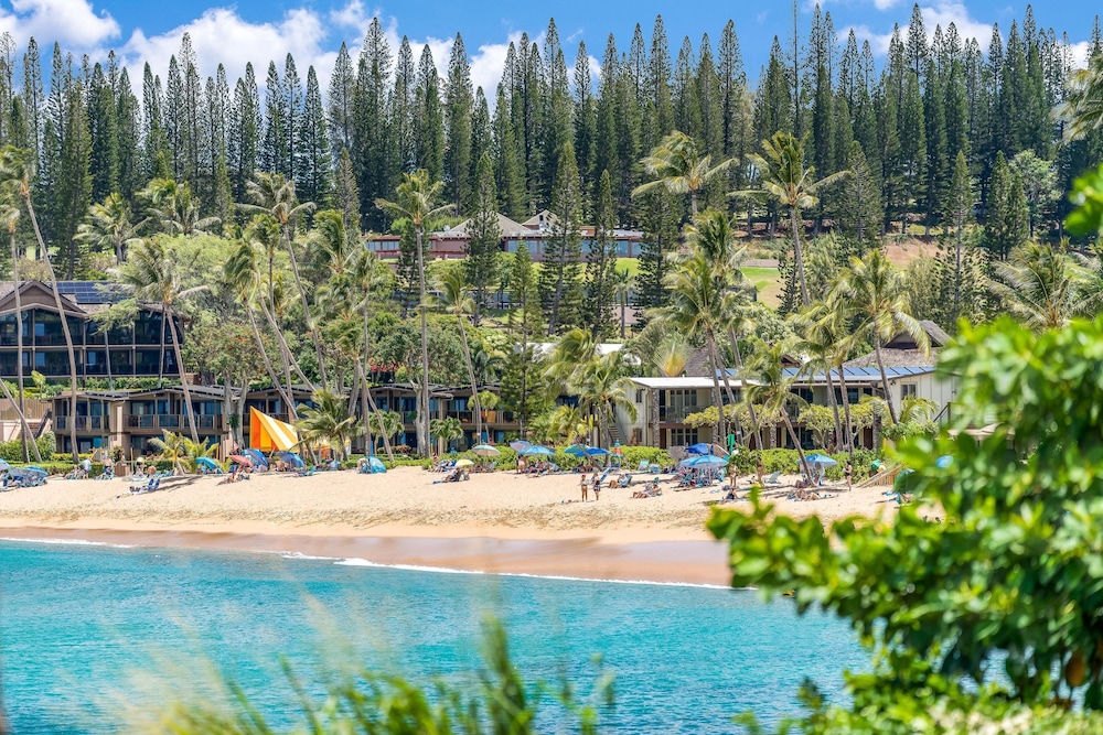 Napili Shores H262 in Lahaina