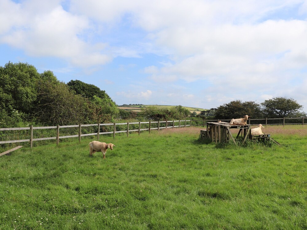 The Dairy