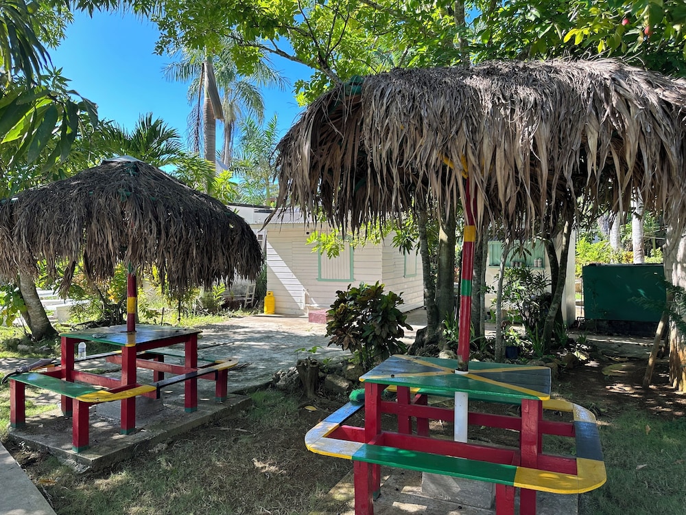 Yoga Dreams Negril