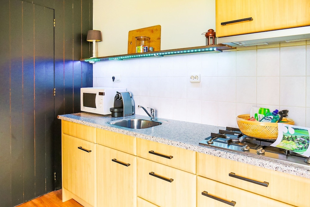 Inviting Apartment in Baflo With Terrace