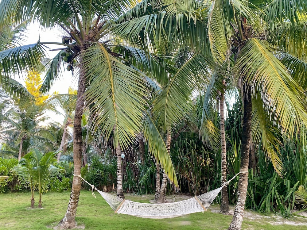 Hibiscus Hill Guest House - Elegant Garden Oasis, Pink Sand Bch 4 Bedroom Home